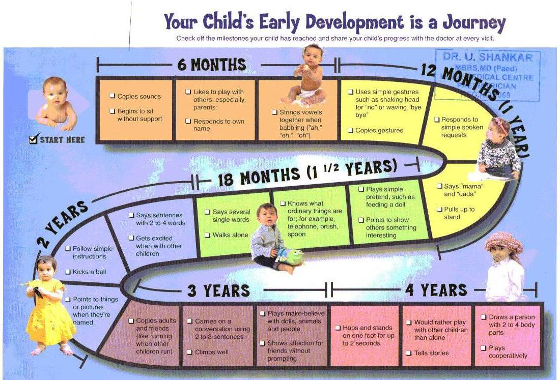 6 months milestones chart