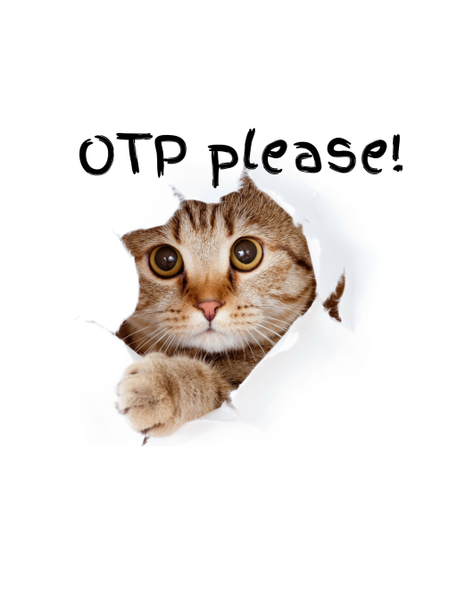 kitten asking otp